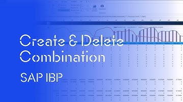 SAP IBP - Excel   Create & Delete Combination