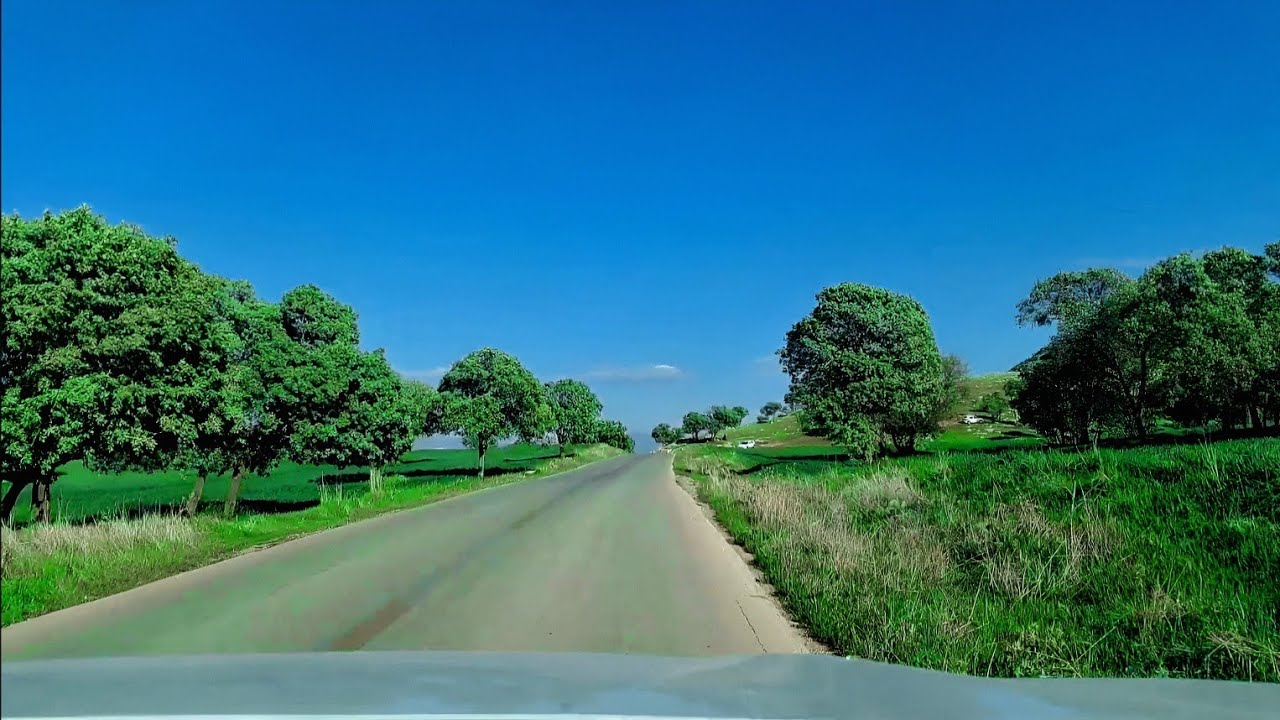 Peaceful Drive on a Quiet Countryside Road | 5 Minutes of Pure Relaxation
