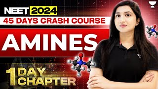 1 Day 1 Chapter: Amines | 45 Days Crash Course | NEET 2024 | Akansha Karnwal