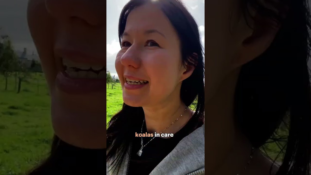 Уход за ранеными дикими животными в Австралии | IFAW и Mosswood