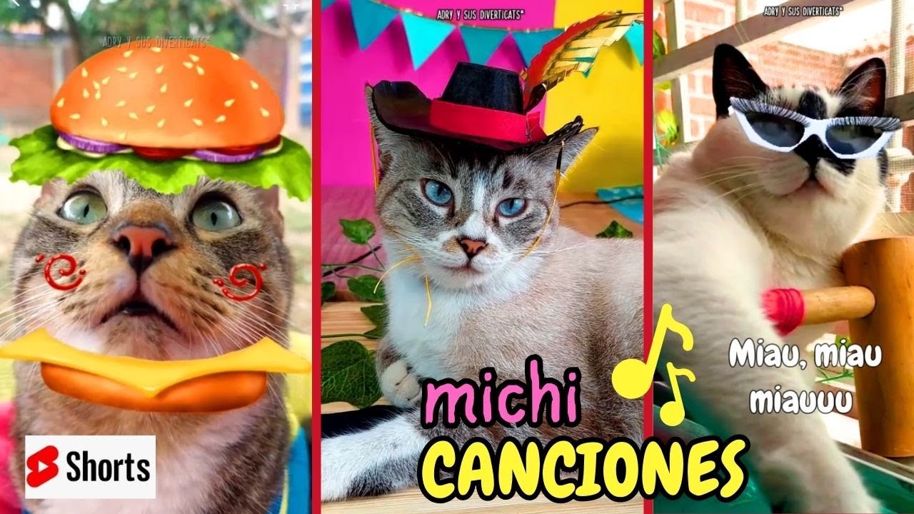 Cual Michi Canci n Te Gusta Mas YouTube cual-michi-canci-n-te-gusta-mas-youtube