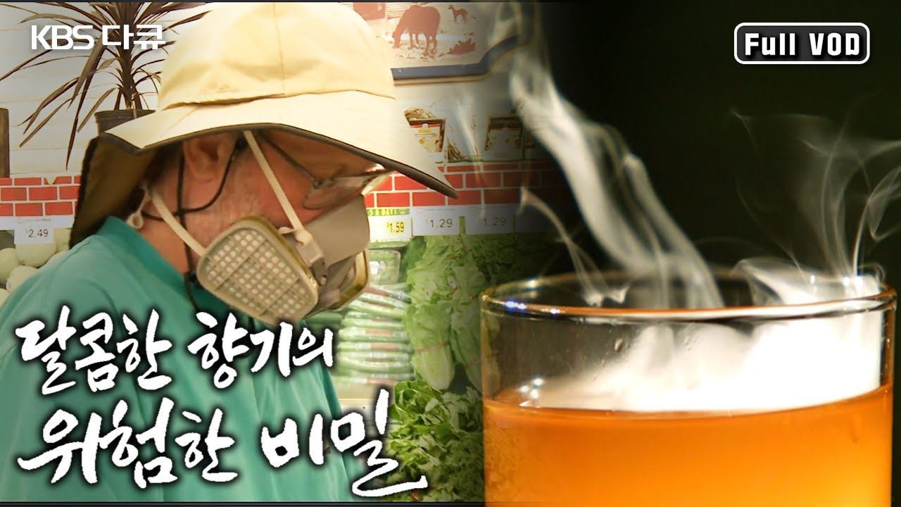 미국을 발칵 뒤집어놓은 향기 스캔들, 일명 ‘팝콘폐’ 사건! 향기가 사람을 공격한다! (KBS 20121028 방송)