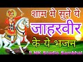 बुरे से बुरा वक़्त भी टल जाएगा ये गोगा जी भजन सुल लेना | Nonstop Jaharveer Goga Ji Ke Bhajan 2025
