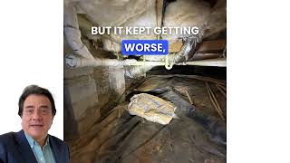 What Was Hiding Under This Greenville Home | Mold Remediation | RestoPros of The Upstate