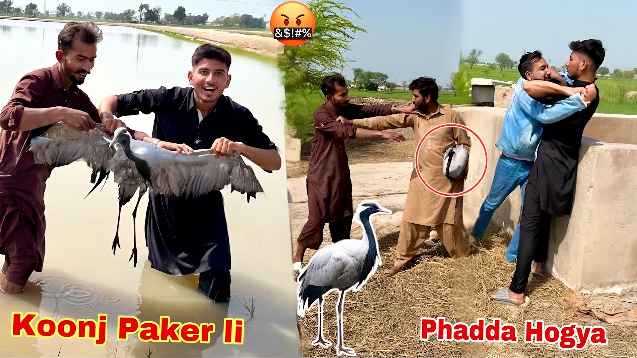 Koonj Ka Shikar Alhamdulillah Koonj Paker Li😍 Bassam Sy Phadda Ho Gya💔