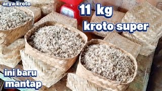 Masih sangat melimpah kroto di sini🔥👍