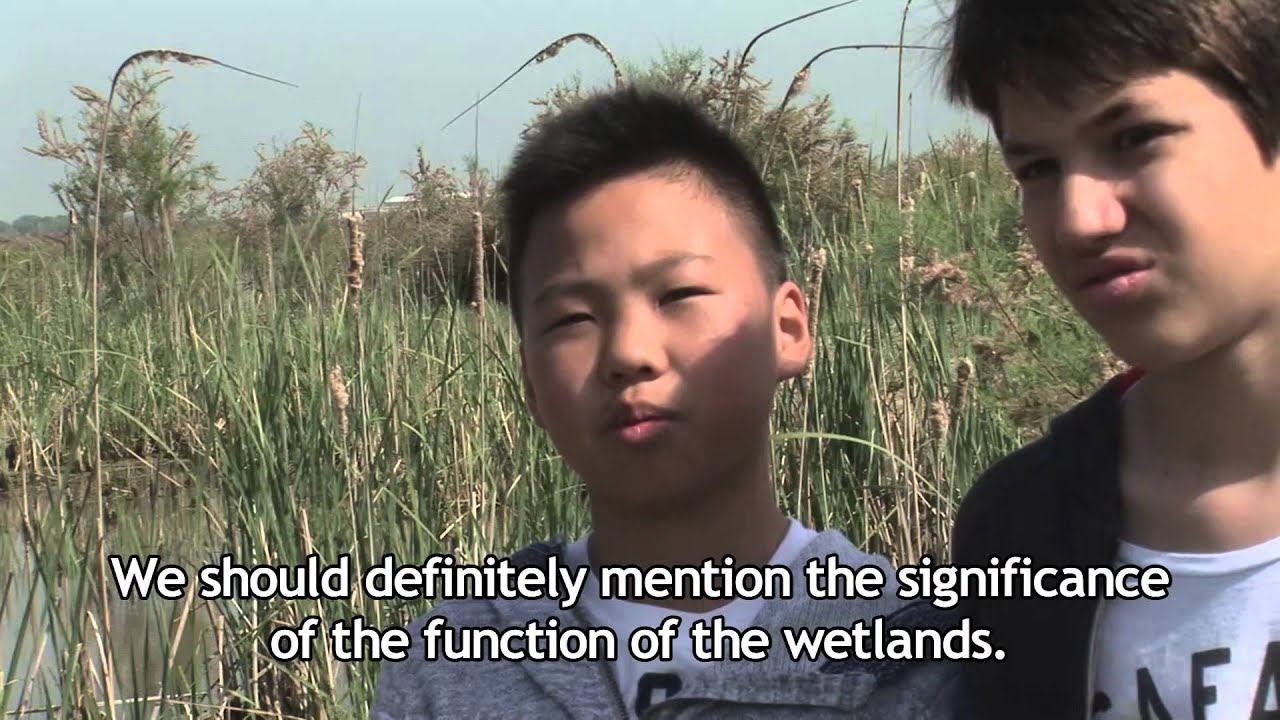 Δέλτα Αξιού To Δέλτα της καρΔιάς μας