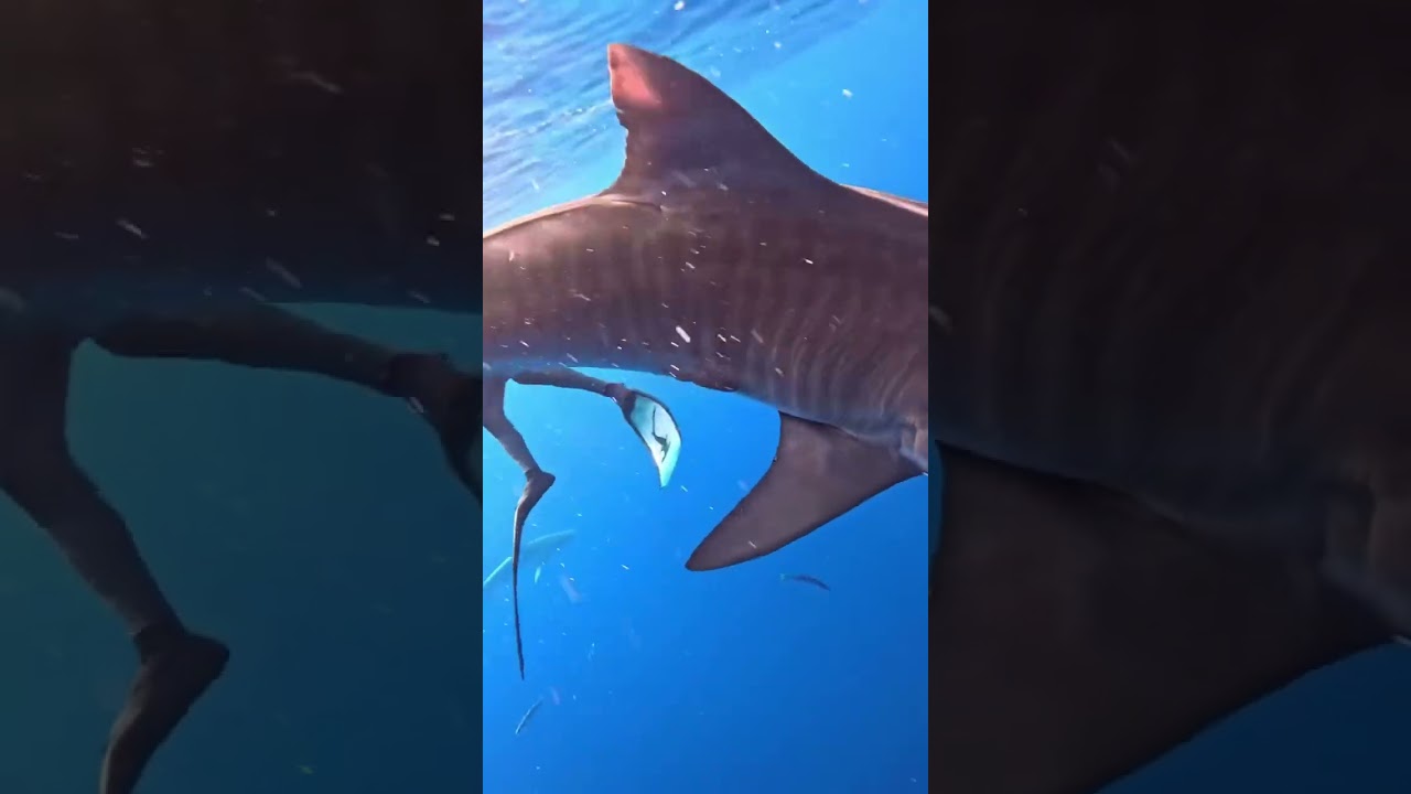 Keep an eye out in 2026 for a new collaboration with this guy!🤙🏽 