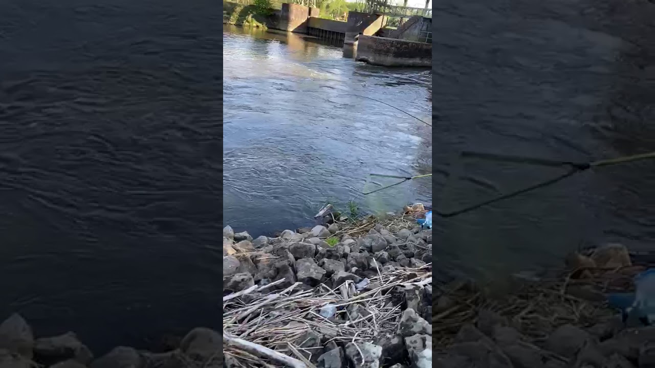 Hechtalarm made by Sven & Friends