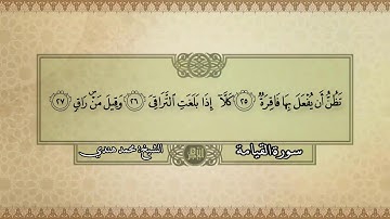 تلاوة مباركة بصوت القارئ الشيخ محمد هندي || سورة القيامة