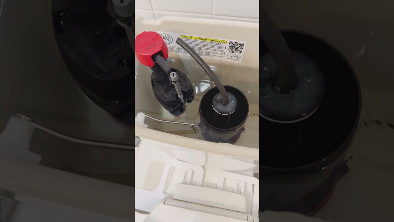 Toilet Leaking From Top Of Tank DIY Repair! #diy #plumbing #plumber #toilet #repair #bathroom