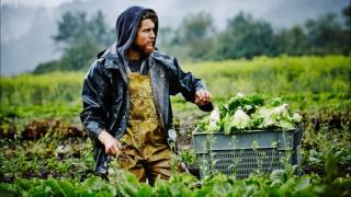 Conventional Vs. Organic Farming... Which One?