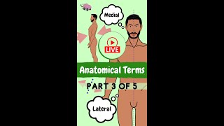 Medial & Lateral [Anatomical Terms & direction] Net Worth