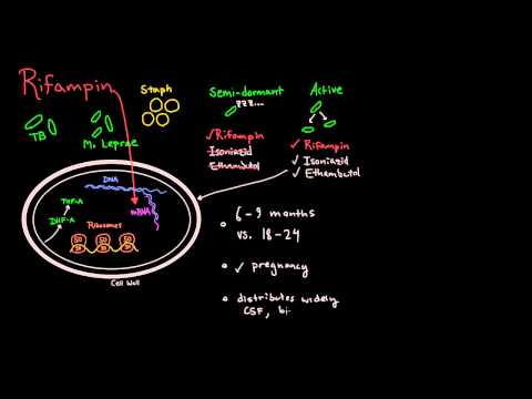 Видео: Рифампин хүний биед хэр удаан хадгалагддаг вэ?