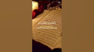 استماع القرآن الكريم كامل #لايك #اكسبلور