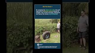 Uprooting a Tree Using a Tire Physics Trick
