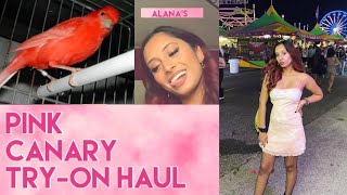 PINK CANARY TRY-ON HAUL 💕🐦