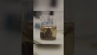 Bakteri ini Makananya Berupa Limbah ? #faktaunik #sains #teknologi