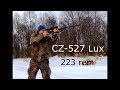 Карабин CZ-527 Lux  223 rem для охоты