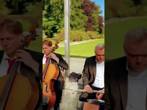 אם לא אעלה את ירושלים על ראש שמחתי תשכח ימיני