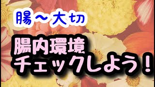 安くて簡単！！健康のバロメーター、腸内環境チェックについて解説！！