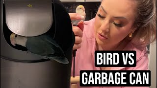 PRINCE VS GARBAGE CAN | VLOG 01