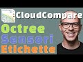 CLOUD COMPARE - Sensori, Etichette, Octree - Point Cloud Associated Structures