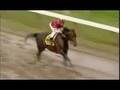 Sheikh Mohammed al Maktoum and his Horses