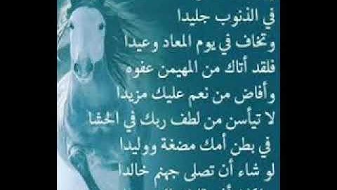 القارئ عطا عاطف السويسى