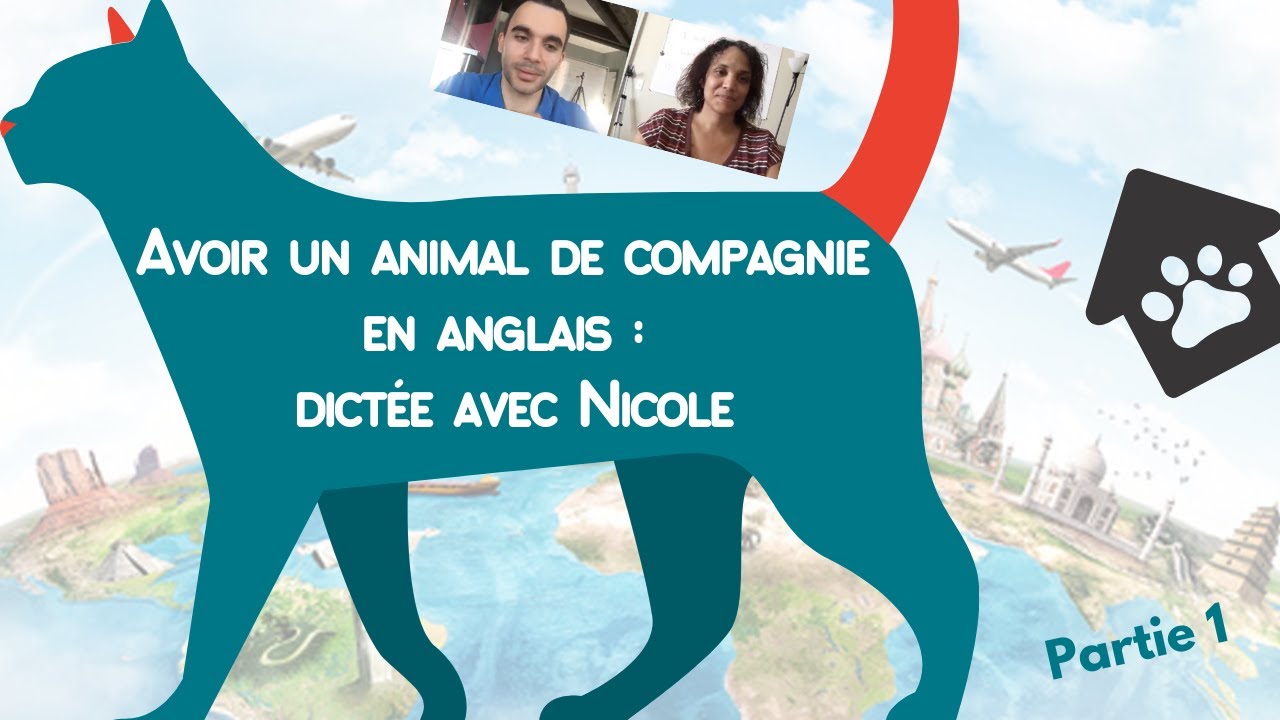 Avoir un animal de compagnie en anglais dictée avec