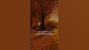 وَإِذَا سَأَلَكَ عِبَادِي عَنِّي فَإِنِّي ۖ قريب | سورة البقرة | احمد خضر