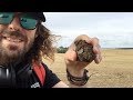 Equinox 800 amazing finds- Roman Coin Hoard (Detectival 2018)