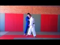 Indepth analysis of ippon seoi nage by matt daquino of beyond grappling