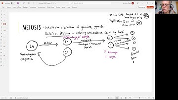 Biology 2020 Chapter 27 Reproductive System:  Meiosis (Video 4)