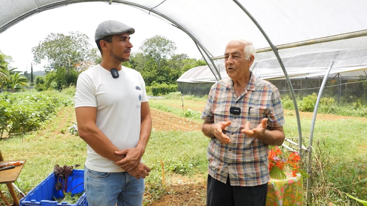 Finca 100% Orgánica en Pueblito de Puerto Rico