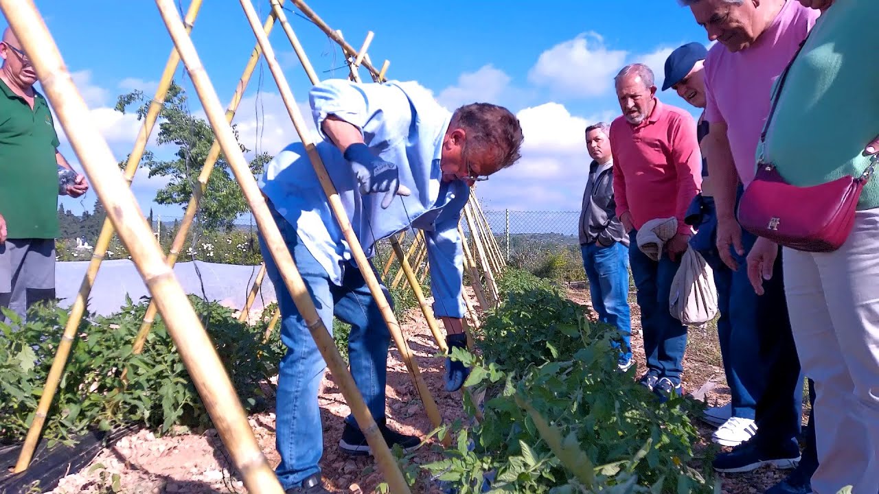 Entutora y da forma a tu huerto- Campoenguera 17-05-2025.