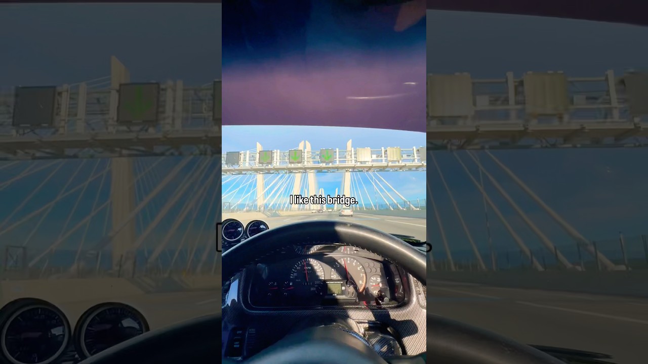 THIS IS ONE COOL BRIDGE 🥰 