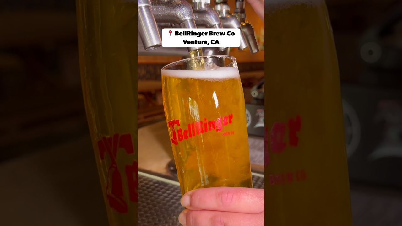 Try this delicious hotdog from Bellringer Brew Co! 🌭🍻