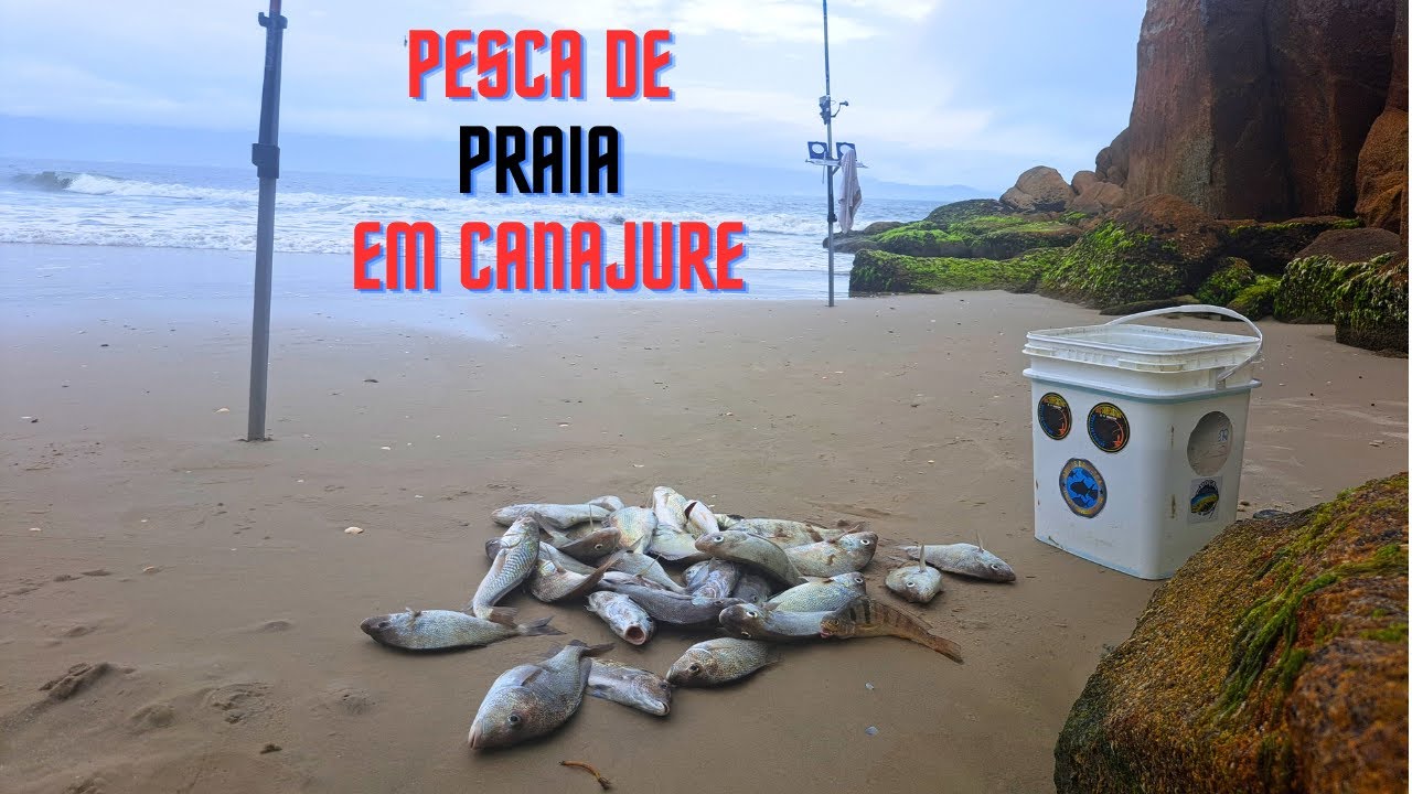 MARÉ SECA MAS COM MUITO PEIXE!! pesca de praia em canajure - SURFCASTING
