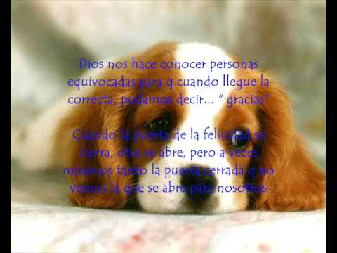 Para una persona especial - YouTube