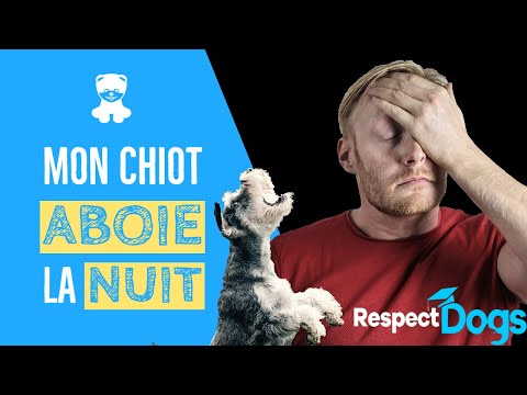 Vidéo: Comment Apprendre à Votre Chiot à Dormir La Nuit