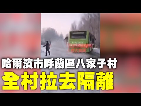 黑龙江疫情严重。1月22日黑龙江哈尔滨市呼兰区八家子村，全村去隔离；1月23日黑龙江哈尔滨市会展体育中心，火眼实验室进驻专测核酸