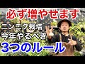 【今年は注意】ニンニクの必ず収穫できる育て方教えます　　　　　　　　　【カーメン君】【園芸】【ガーデニング】【初心者】