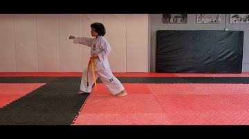 Four Direction Punch (Saju Jirugi) ITF Taekwon-Do