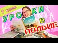 ШКОЛА В ПОЛЬШЕ  🇵🇱 Мои предметы 7 класс 📚