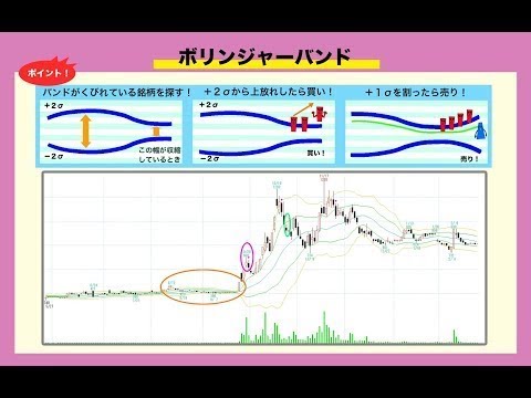 暁投資顧問！11/8日の相場解説！ゴルディロックス相場！