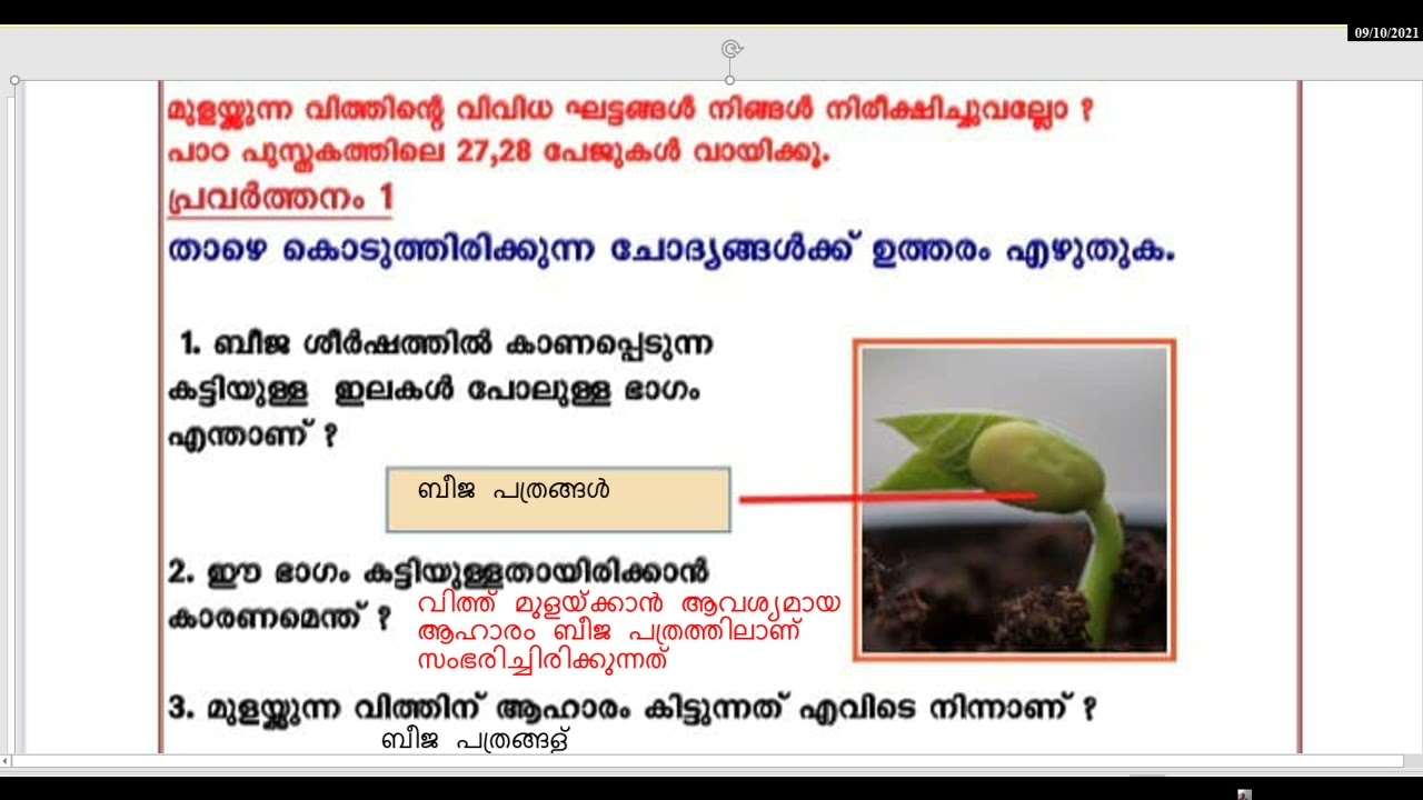 CLASS 4 MALAYALAM MEDIUM school worksheet