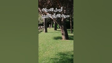 سورة النحل💋❤️💕 قران كريم بصوت جميل للشيخ اسلام صبحي #اكسبلور #راحة_نفسية #الرحمن #تصويري #ترند 🤲🌺