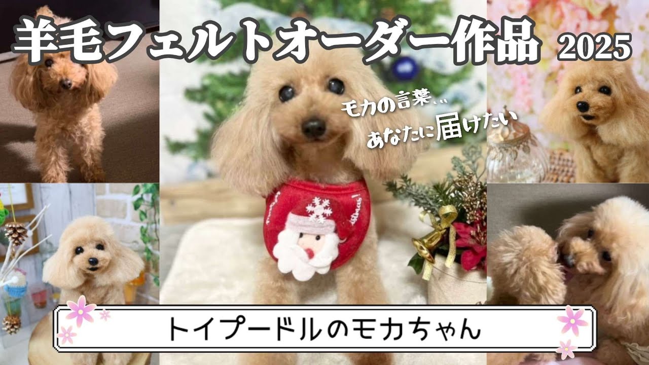 【モカの言葉…あなたに届けたい】羊毛フェルトオーダー作品 トイプードルのモカちゃん 