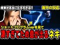 【BOW AND ARROW】ショートプログラムverを見て羽生結弦の音楽的才能にため息をつくハナネキ【メダリスト MV】【海外の反応】【英語学習】【英語解説】【英語字幕】【REACTS】